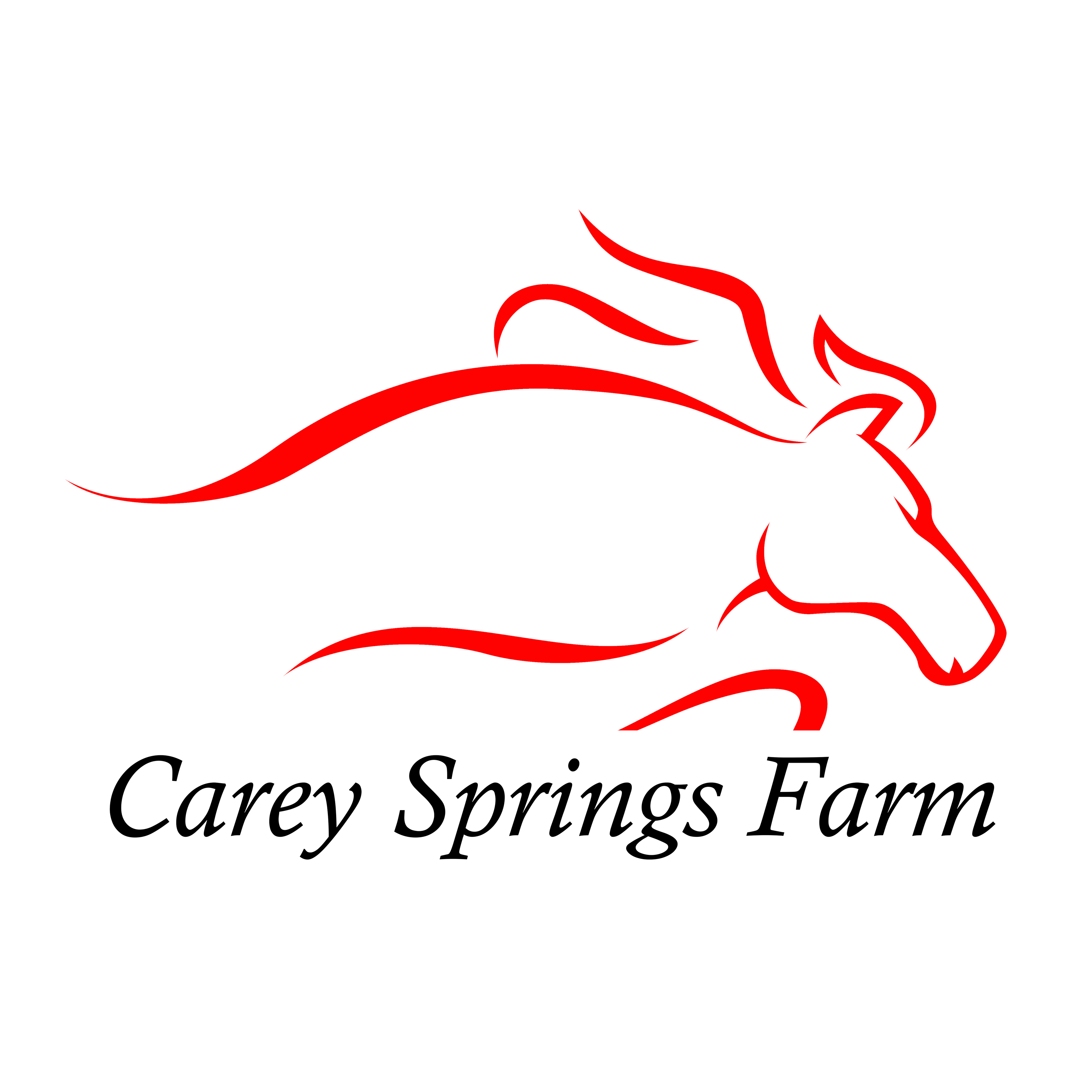 Carey Springs Farm Apparel