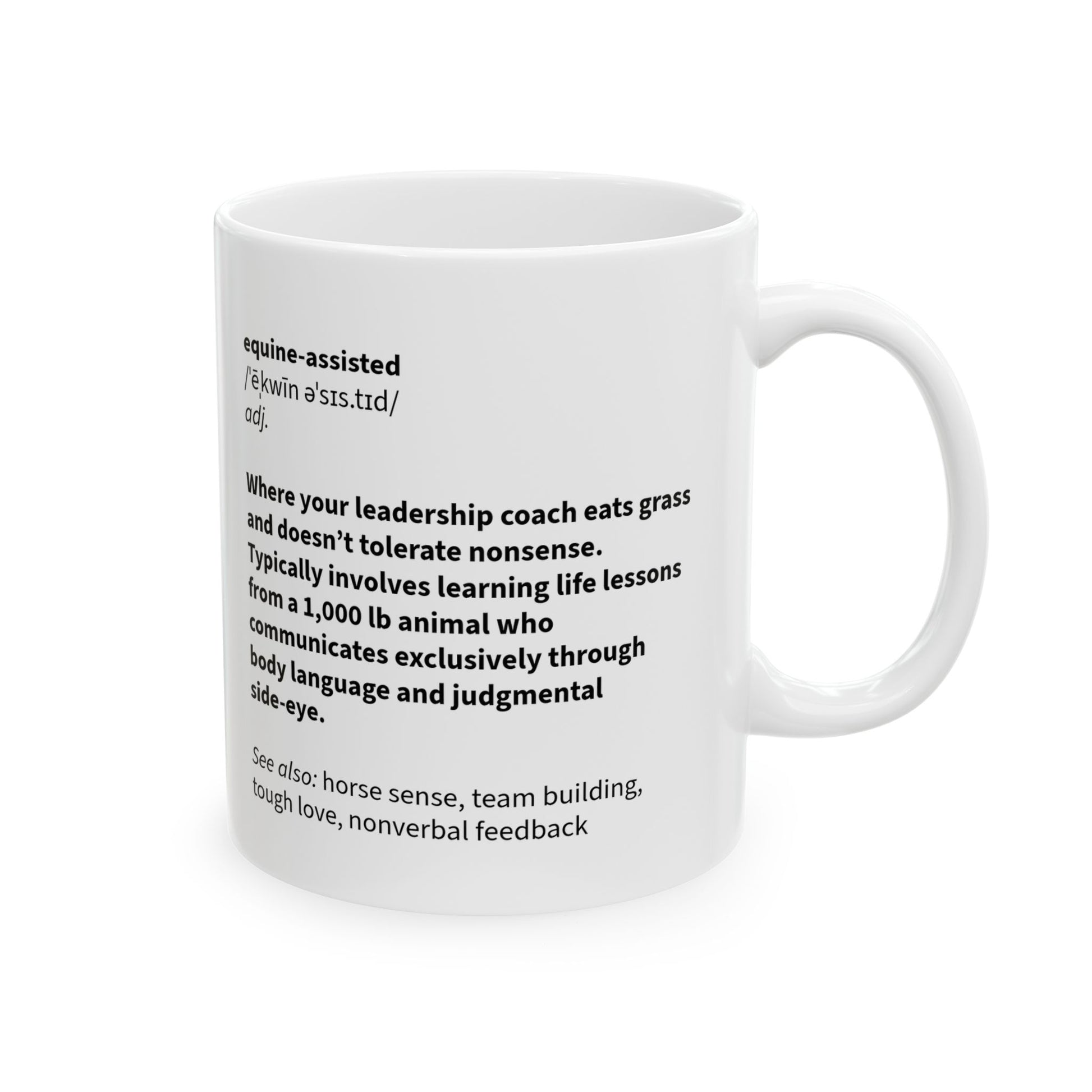 Side-Eye Equine Assisted Definition Mug