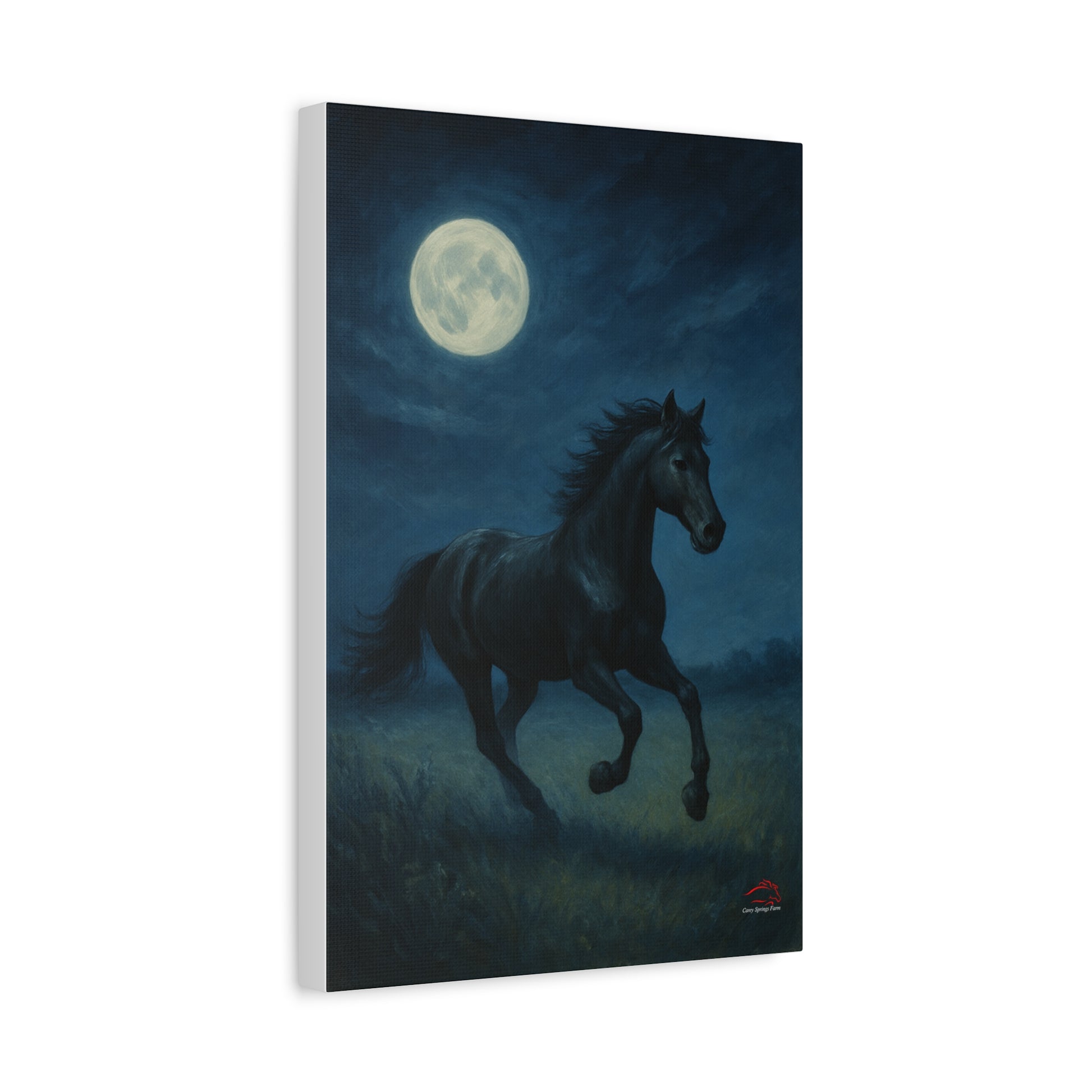 Midnight Canter – Stretched Canvas Wall Art