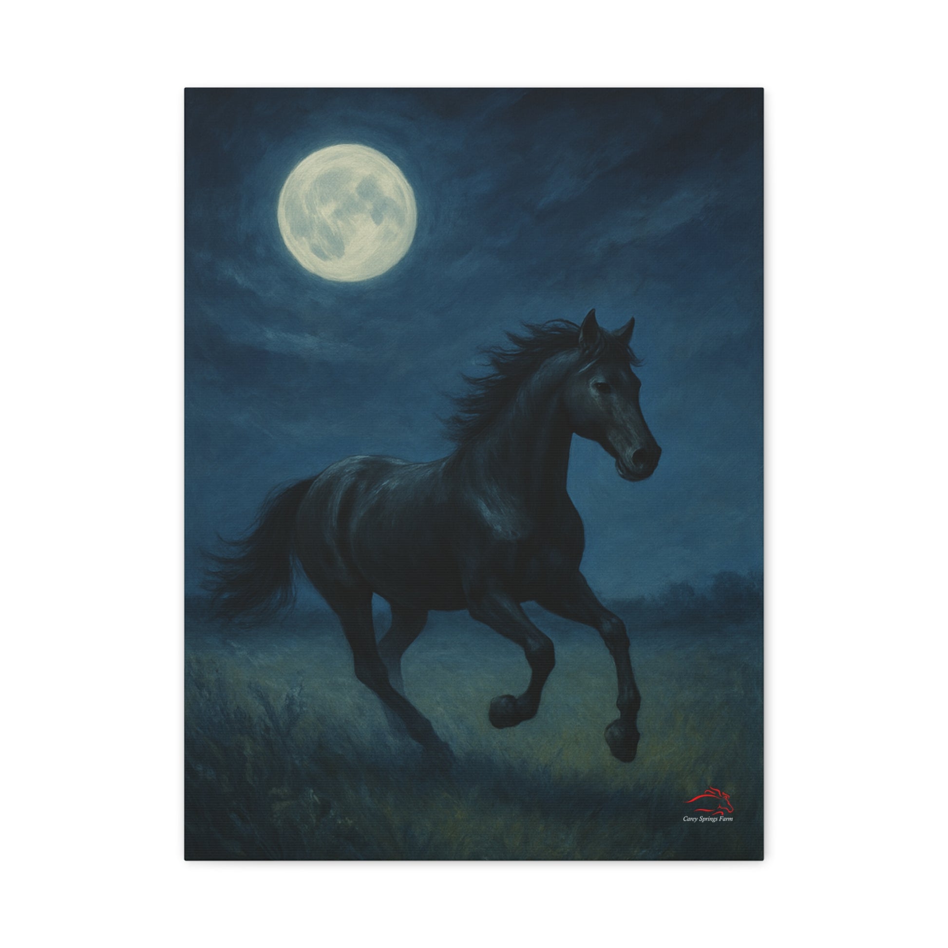Midnight Canter – Stretched Canvas Wall Art