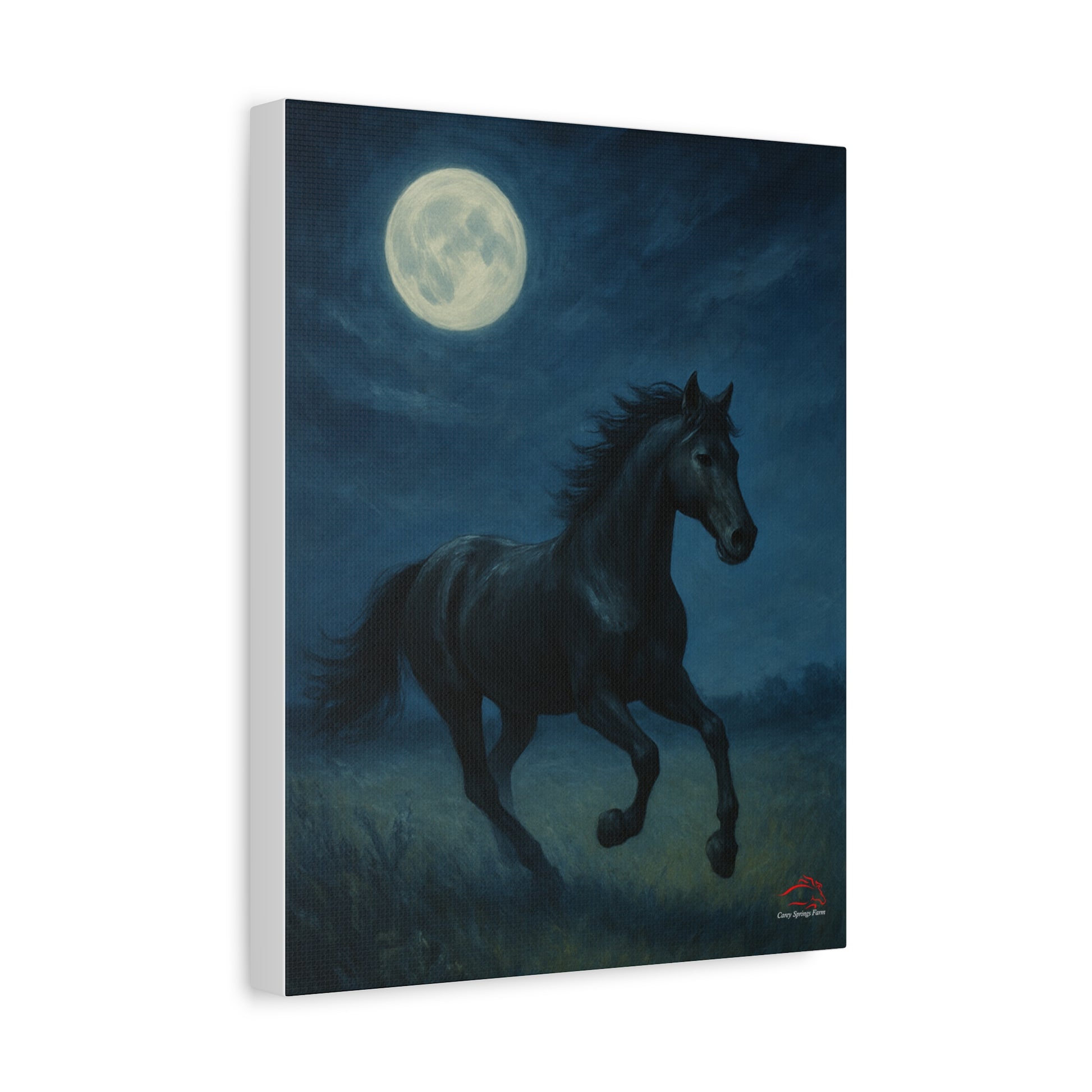 Midnight Canter – Stretched Canvas Wall Art