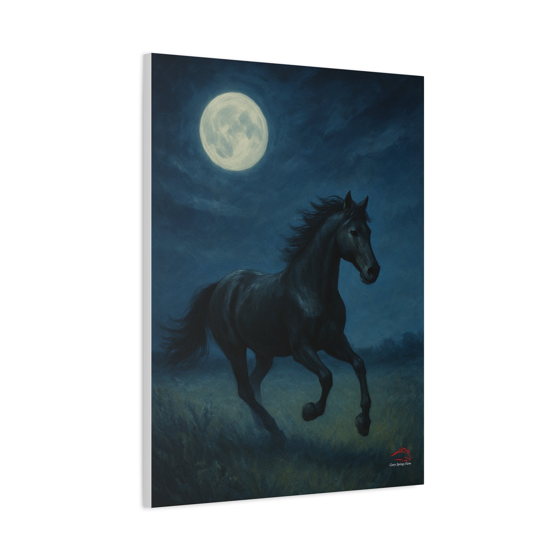 Midnight Canter – Stretched Canvas Wall Art