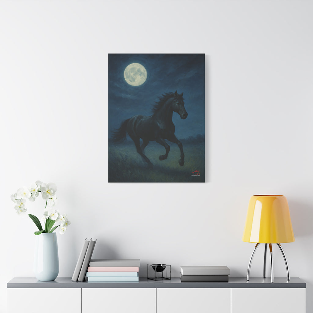 Midnight Canter – Stretched Canvas Wall Art