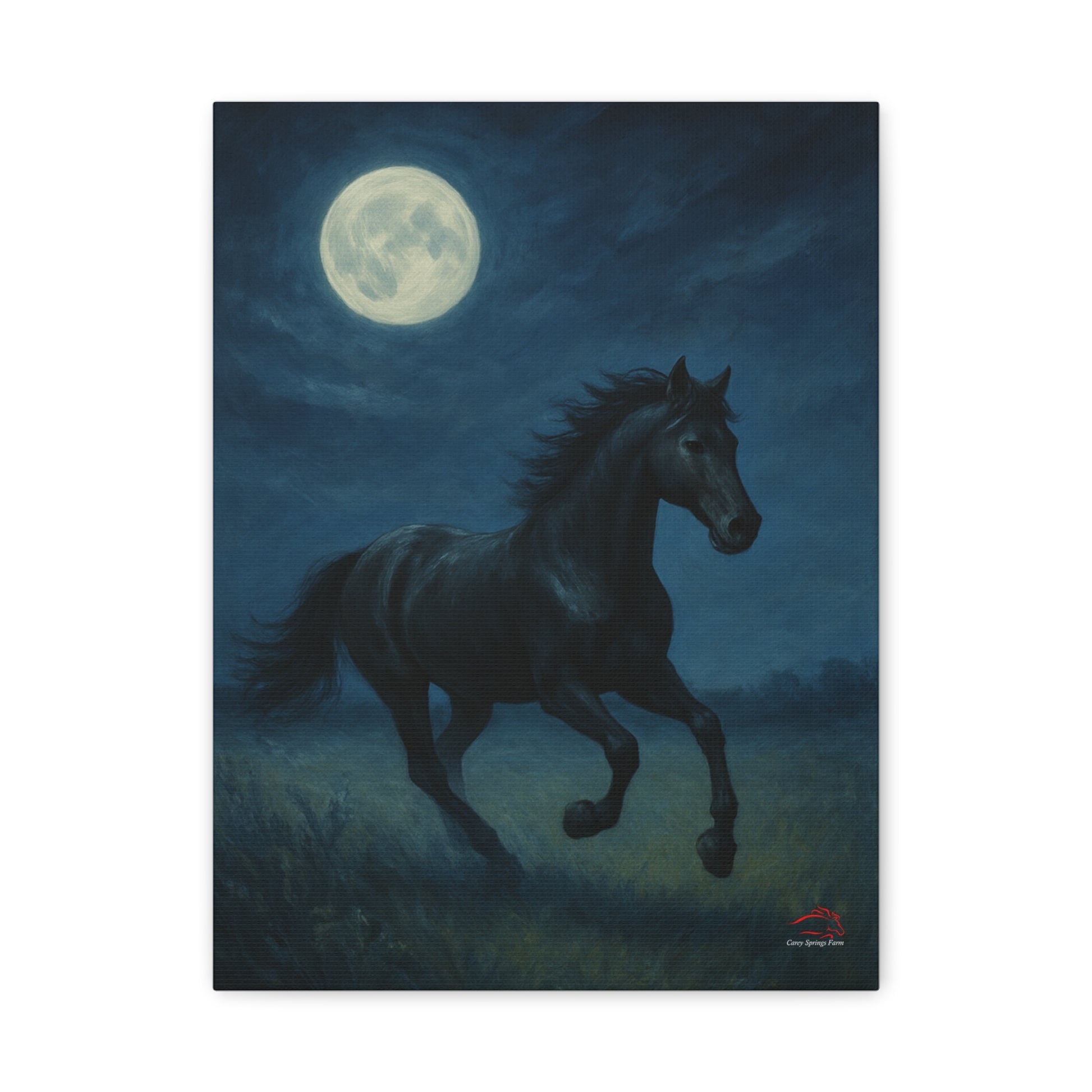 Midnight Canter – Stretched Canvas Wall Art