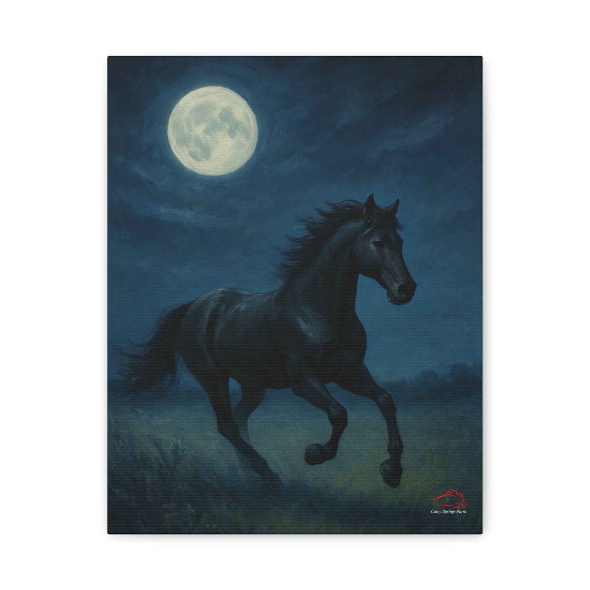 Midnight Canter – Stretched Canvas Wall Art