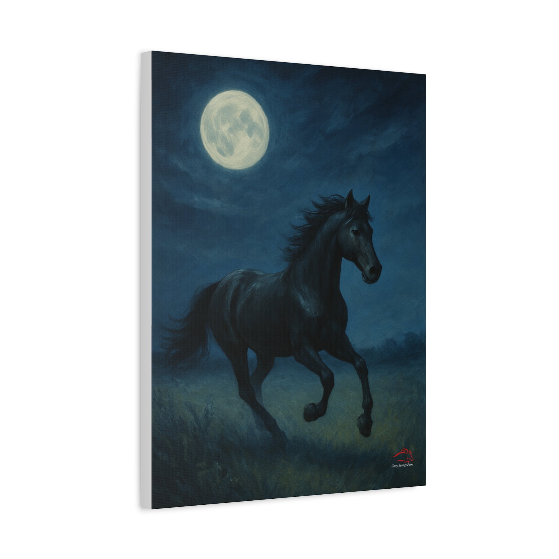 Midnight Canter – Stretched Canvas Wall Art