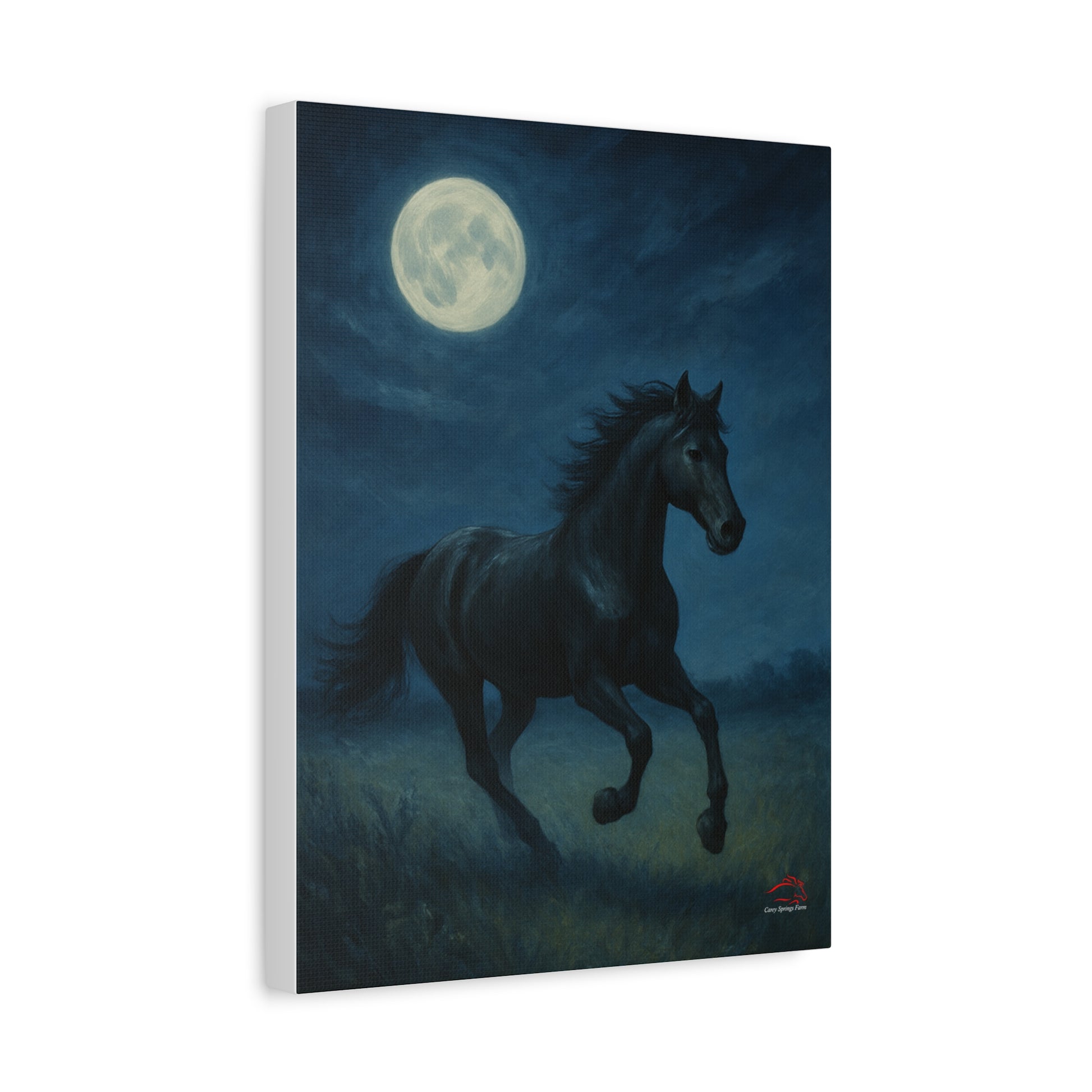 Midnight Canter – Stretched Canvas Wall Art